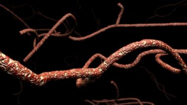 Mikroskobik Ebola virüsü