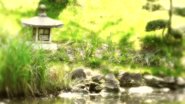 Jardin japonais au printemps — Video