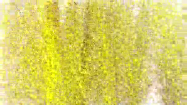 B8 Vitamine formée par de minuscules cellules vitaminiques 