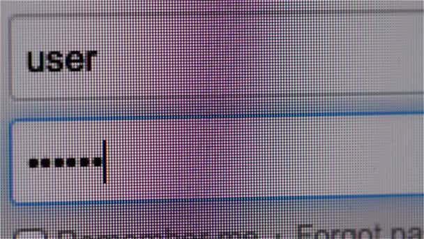 Inloggning i Internet Network — Stockvideo