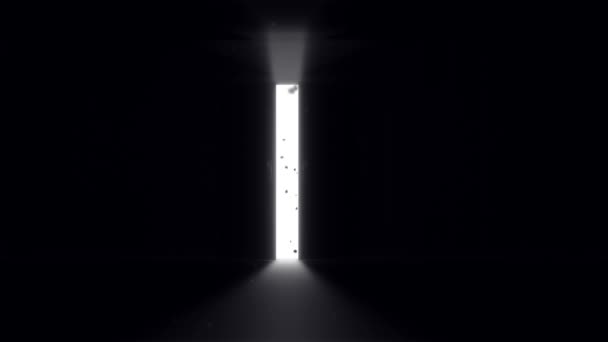 Mysterious Door background — Stock Video