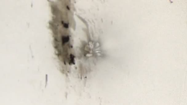 Simulation de souffle nucléaire 