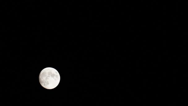 Luna llena en el cielo nocturno — Vídeos de Stock