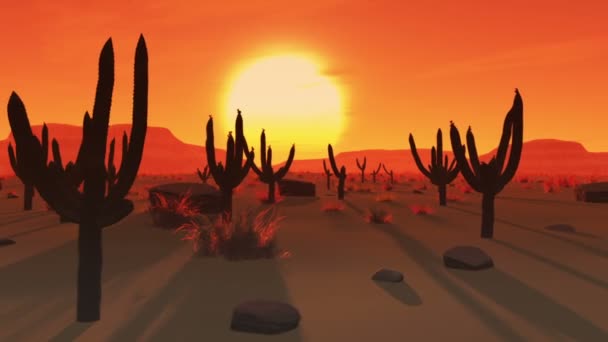 Desert Saguaro with Cactus Field — Stock Video