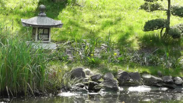 春には日本庭園 — ストック動画