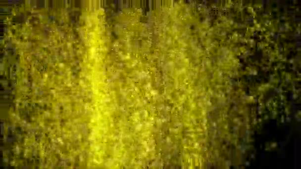 由小维生素细胞形成的 B 族维生素 — 图库视频影像