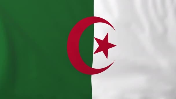 Bandiera dell'Algeria — Video Stock