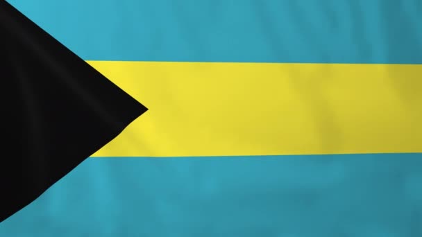 Vlag van Bahama 's — Stockvideo