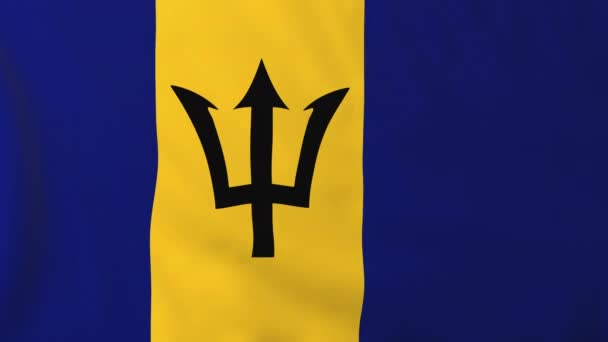 Flagge von Barbados — Stockvideo