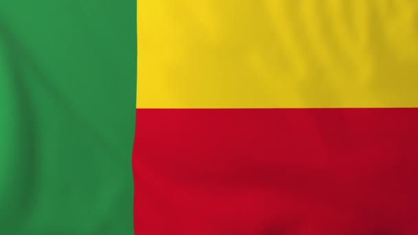Beninská vlajka — Stock video
