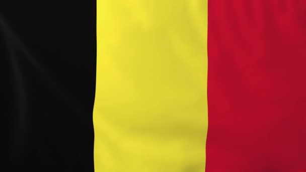 Bandera de Belgium — Vídeo de stock