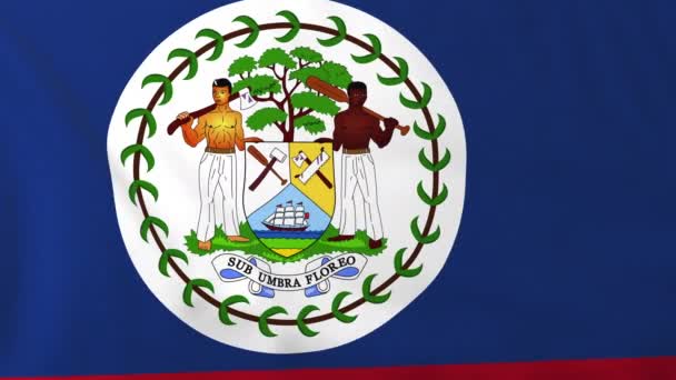 Flagge von Belize — Stockvideo