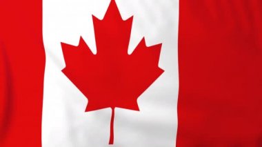 Kanada Bayrağı