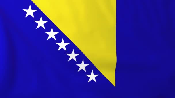 Bandera de Bosnia y Herzegovina — Vídeo de stock
