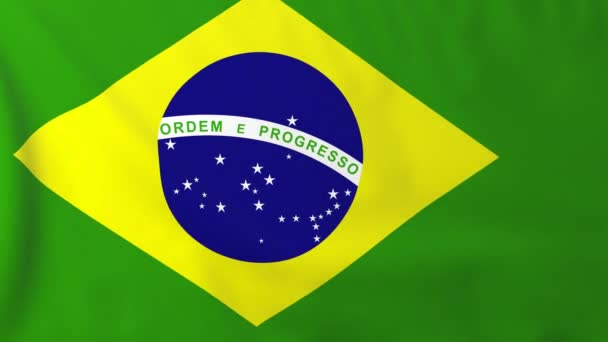 Brazilská vlajka — Stock video