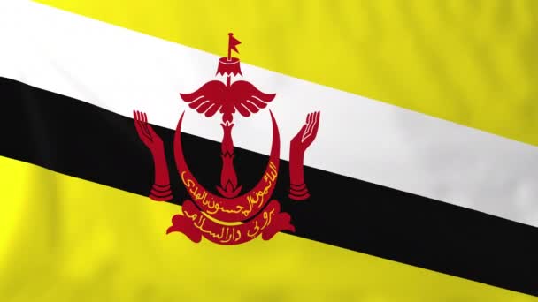 Bandera de Brunei — Vídeo de stock
