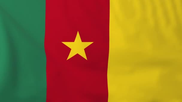 Flag of Cameroon — Stockvideo