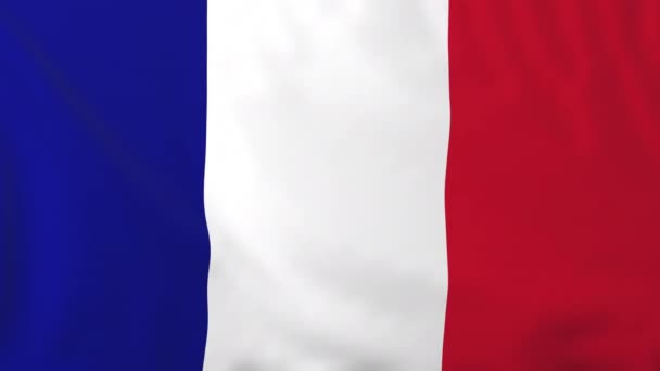 Bandera de France — Vídeo de stock