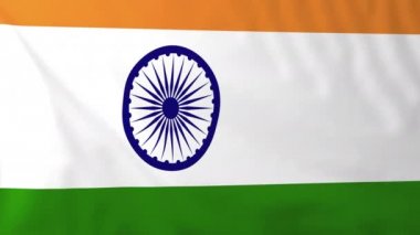 Hindistan Bayrağı