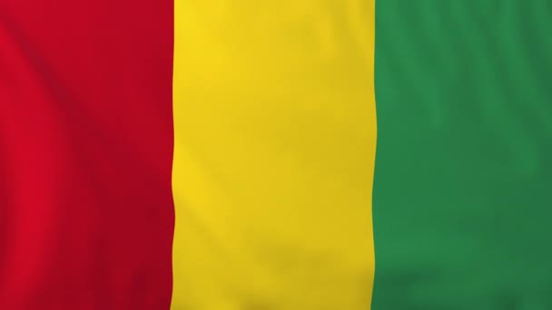 Drapeau de Guinée — Video