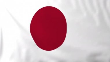 Japon Bayrağı