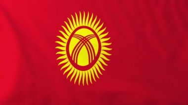 Kırgızistan bayrağı