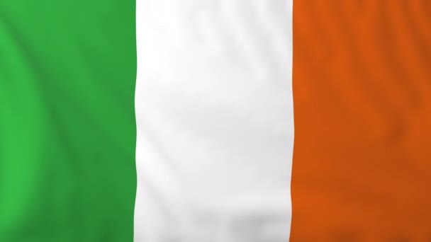 Irlands flagg — Stockvideo