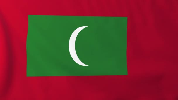 Maldivler bayrağı — Stok video