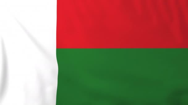 Flag of Madagascar — Stock Video