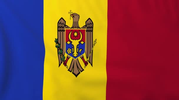 Drapeau de moldova — Video