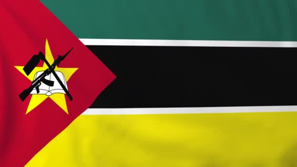 Bandera de Mozambique — Vídeo de stock