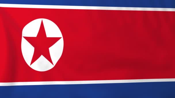 Bandera de Corea del Norte — Vídeo de stock