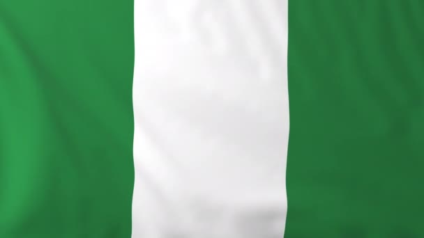 Flagge Nigerias — Stockvideo