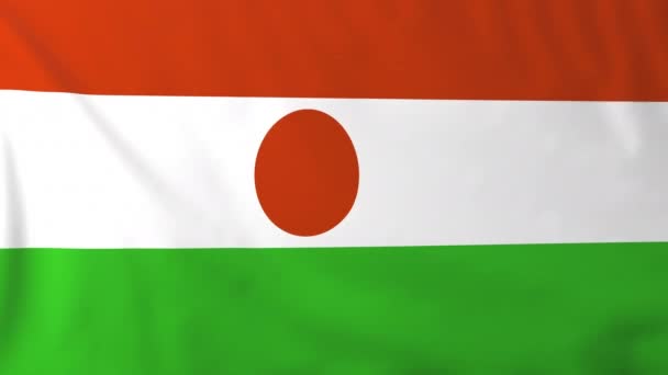 Vlag van niger — Stockvideo