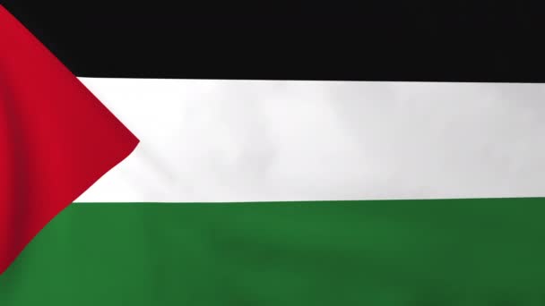 Bandera de Palestina — Vídeos de Stock