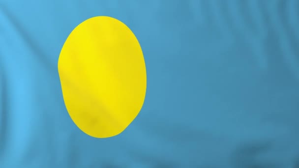 Vlag van palau — Stockvideo