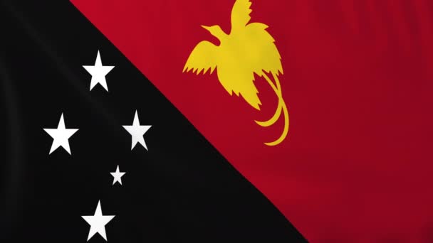 Bandera de Papua New Guinea — Vídeos de Stock