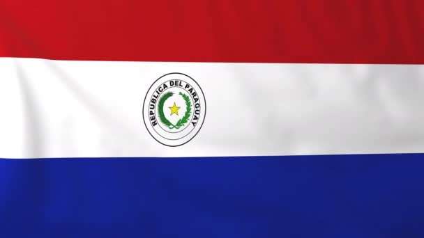 Vlag van paraguay — Stockvideo