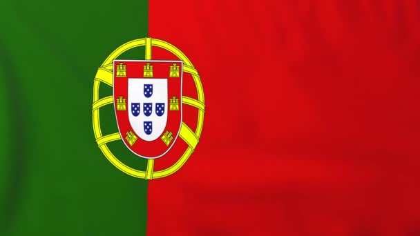 Bandera de Portugal — Vídeo de stock