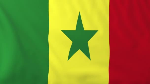 Senegal Cumhuriyeti bayrağı — Stok video