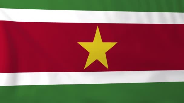 Flagge von Surinam — Stockvideo