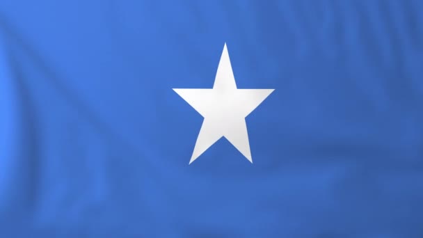 Flagge Somalias — Stockvideo