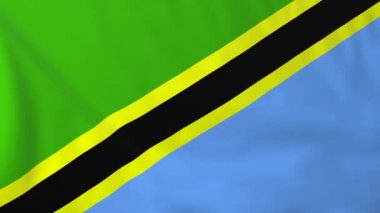 Tanzanya'nın bayrağı