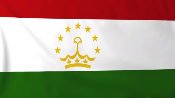 Bandeira do tajiquistão — Vídeo de Stock