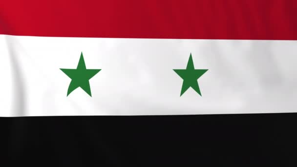 Flag of Syria — Stock Video