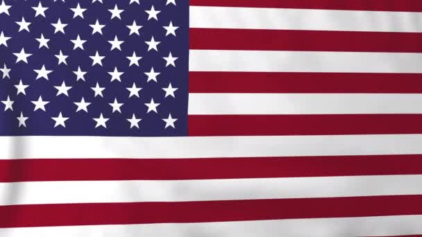 Flag of USA — Stock Video