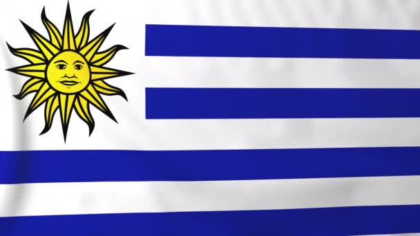 乌拉圭的旗子 — 图库视频影像
