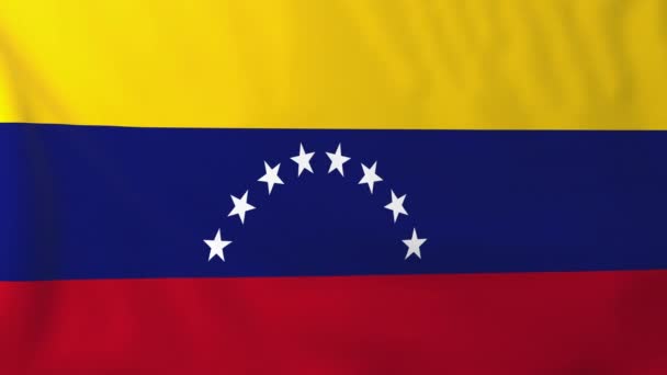 Flagge von venezuela — Stockvideo