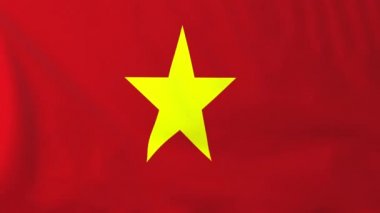 vietnam bayrağı
