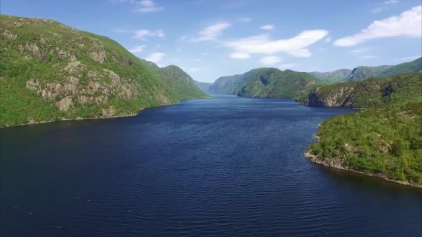 Flygande över fjorden i Norge — Stockvideo